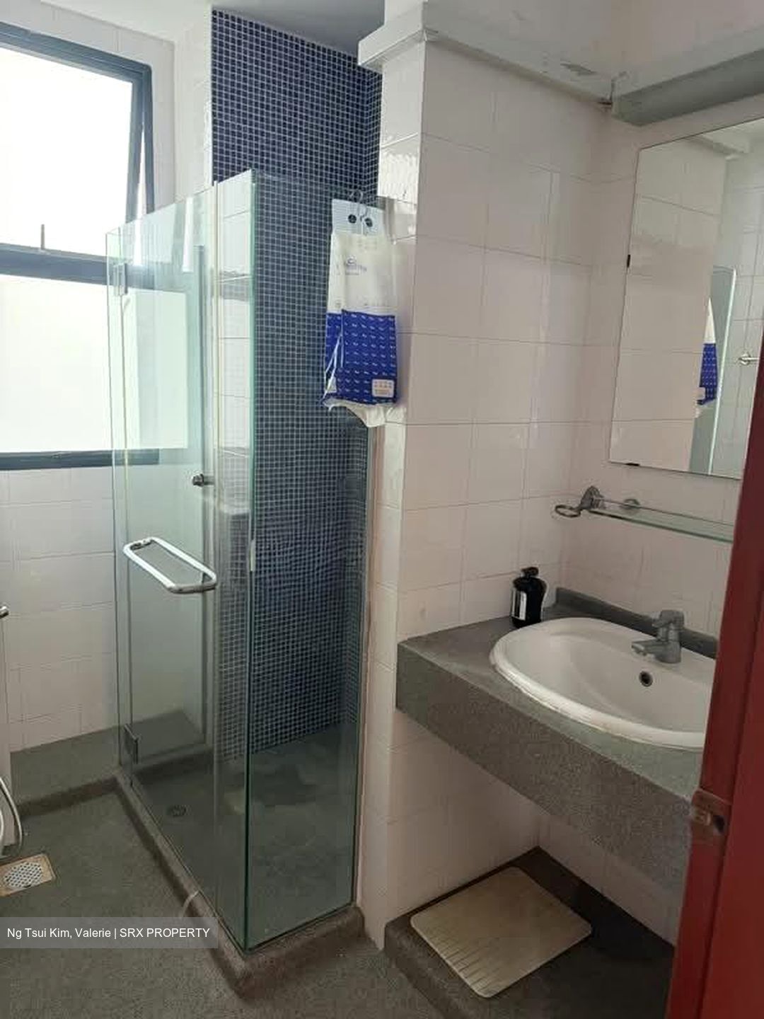 Rich Mansion (D10), Condominium #568709831